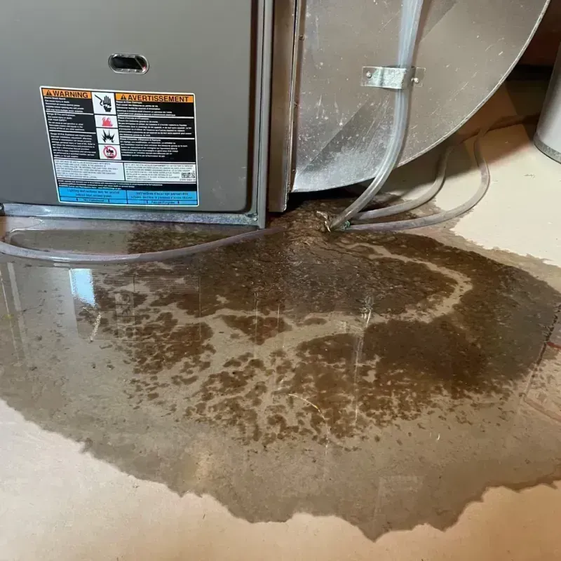 Appliance Leak Cleanup in Independence, MO